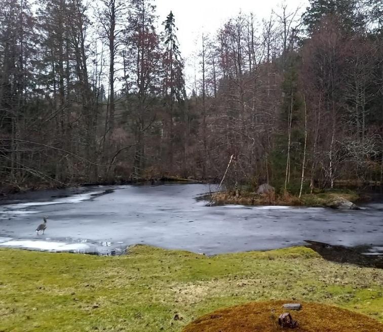 Gaeststuga I Vacker Natur, Bastu, Bubbelpool Sommartid Och Gratis Parkering Naera Ulricehamn Och Lassalyckan, Guesthouse With Nice View With Sauna And Free Parking Close To Dalsjoefors And Fishing Borås Extérieur photo